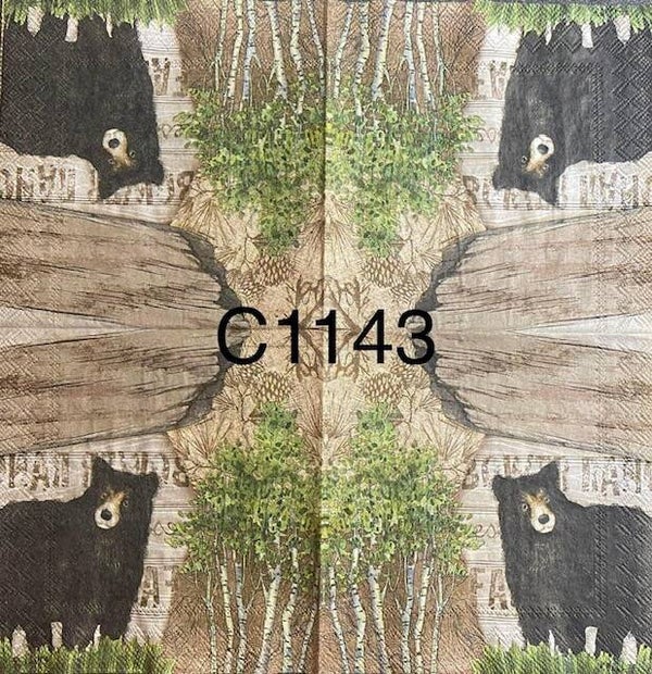 Animals (C1143) - Black Bear