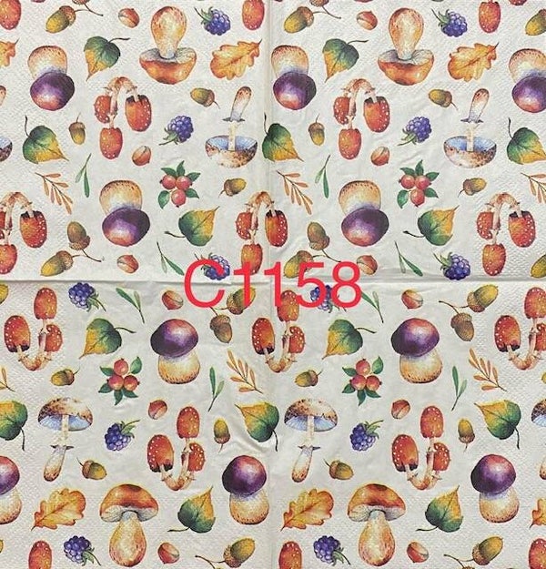 Fall (C1158) - Mushrooms