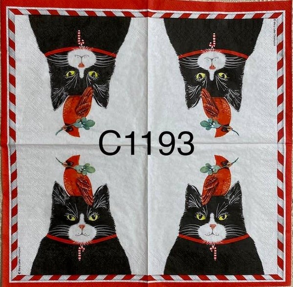 Cats (C1193) - Black Cat with Cardinal on Head