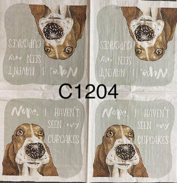 Dogs (C1204) - Nope, I haven't See any Cupcakes