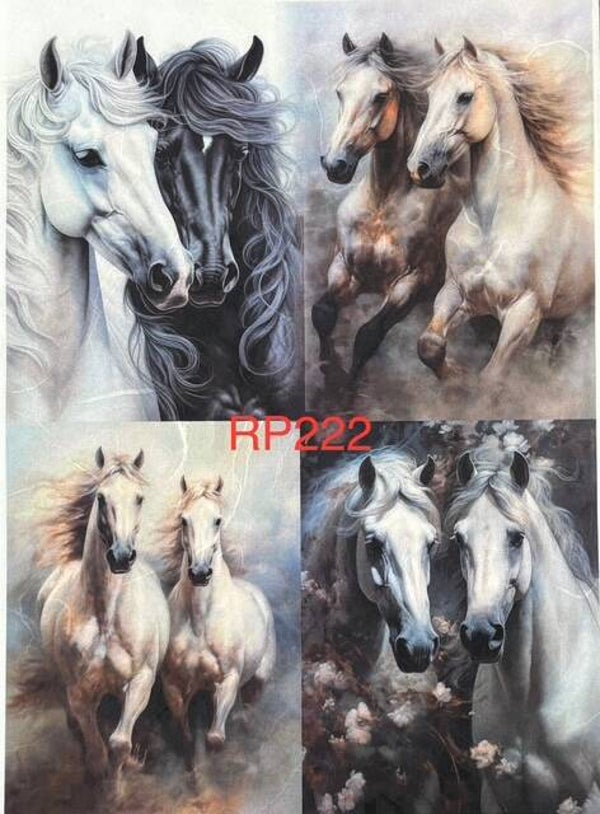 Horses (RP222) - Four Different Images with Two Horses