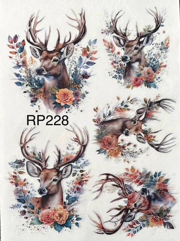 Deer (RP228) - Deer Images (Buck)
