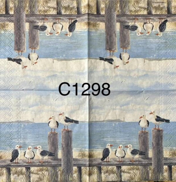 Beach (C1298) - Seaguls on Fence