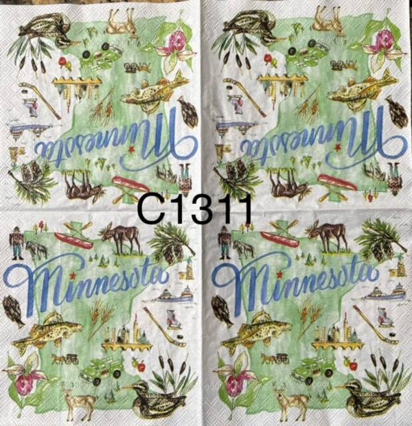 States (C1311) - Minnesota