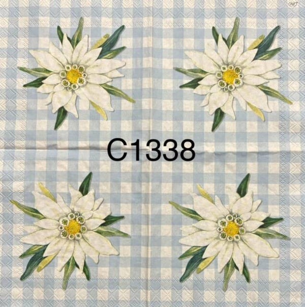 Flowers (C1338) - White Flower with Blue and White Checks