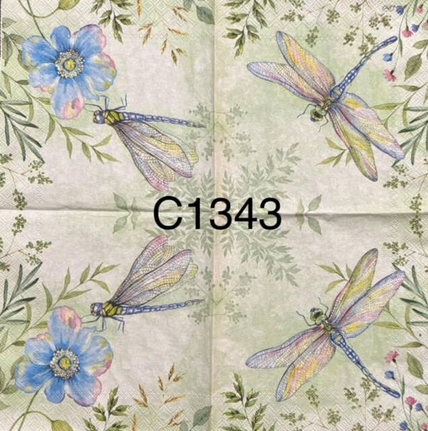 Animals (C1343) - Dragonflies
