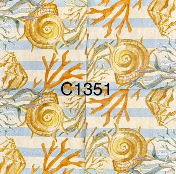 Beach (C1351) - Shells and Coral Reefs