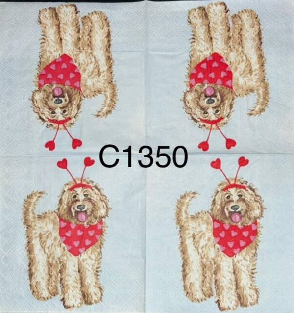 Valentines (C1350) - Labrapoodle With Scarf