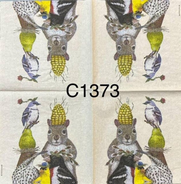 Birds (C1373) - Party Under the Feeder