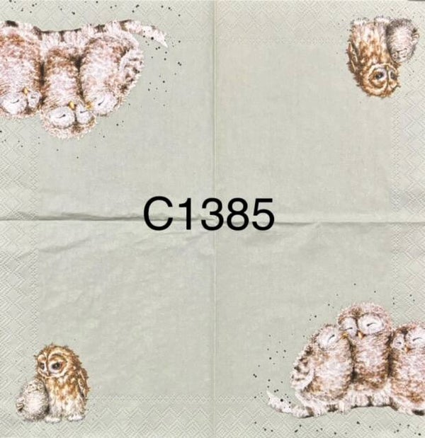 Birds (C1385) - Owl Together