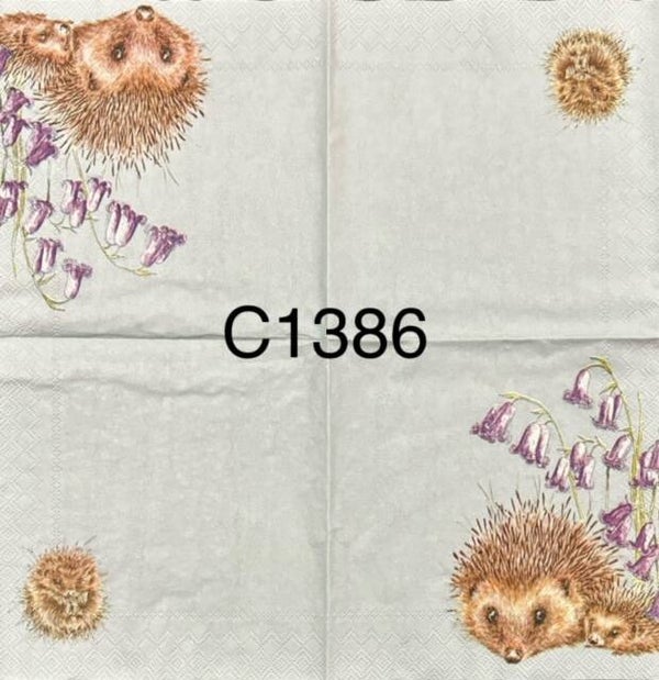 Animals (C1386) - Hedgehogs