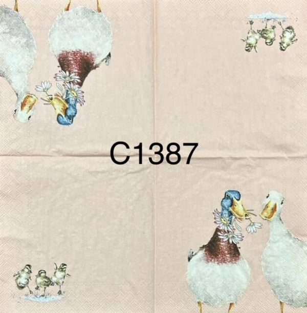 Birds (C1387) - Not a Daisy Goes by