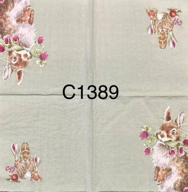 Animals (C1389) - Head Clover Heels