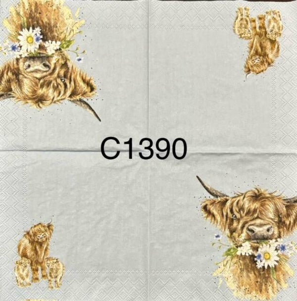 Cows (C1390) - Daisy CoW