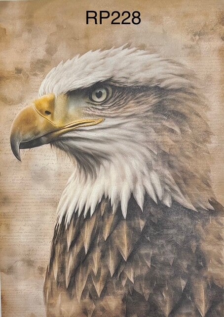 Birds (RP228) - American Eagle