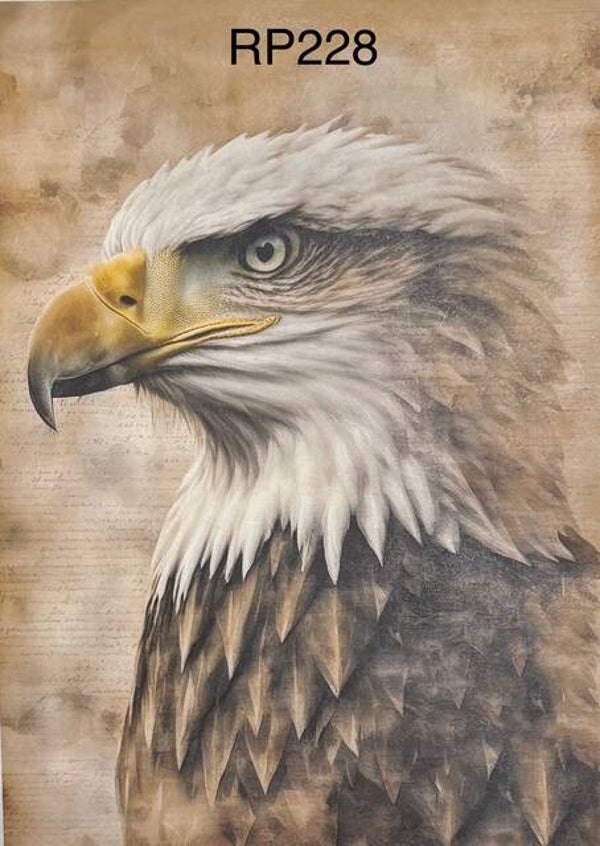 Birds (RP228A) - American Eagle