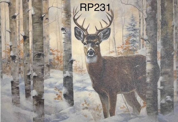 Deer (RP231) - Still Wintry Wooded Deer (Buck)