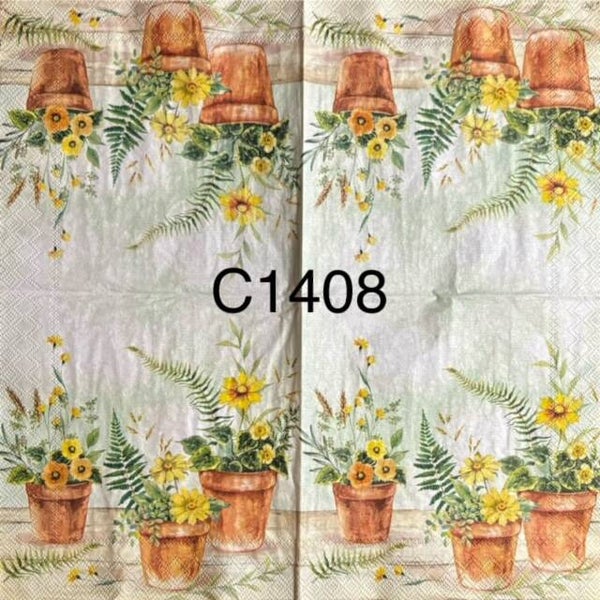 Flowers (C1408) - Potted Flowers