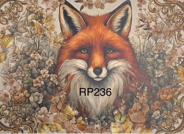 Animals (RP236) - Hello Autumn Fox 3