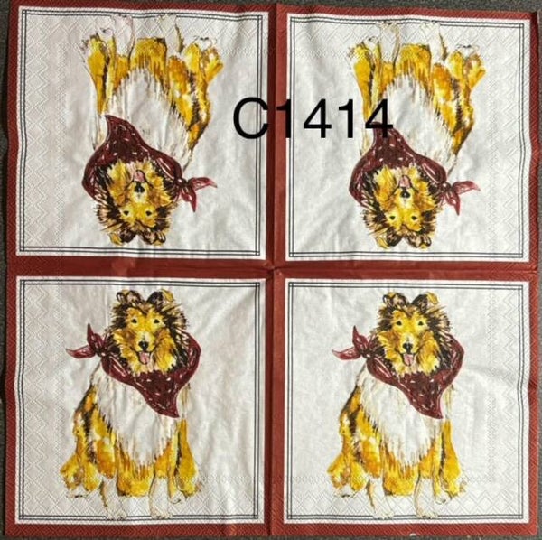 Dogs (C1414) - Maroon Collie