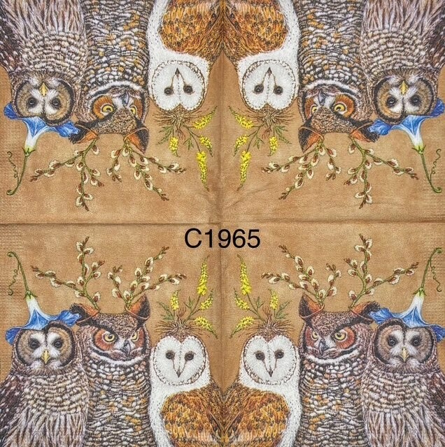 Birds (C1965) - Three Owls with Headpieces and Brown Background