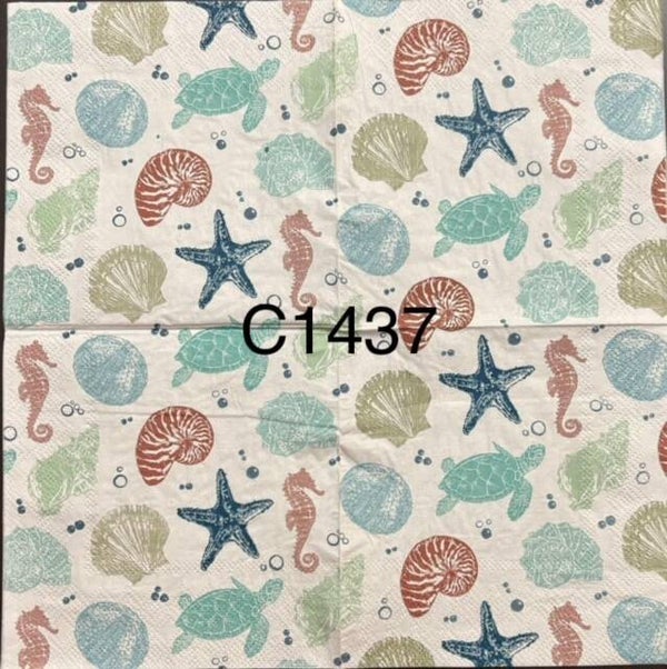 Beach (C1437) - Shells