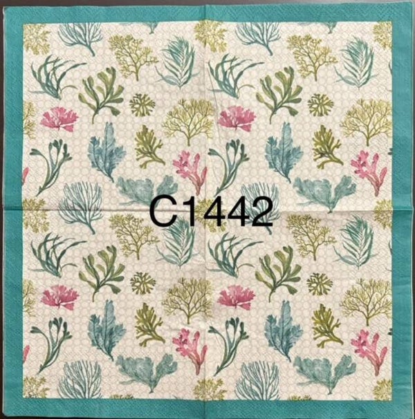 Beach (C1442) - Corals and Algae