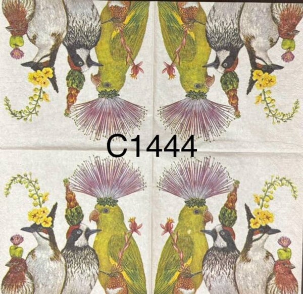 Birds (C1444) - The Entourage