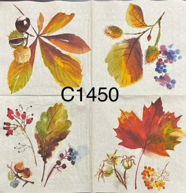 Bargain - Fall (C1450) - Fall Leaves