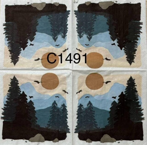 Camping (C1491) - Scenery