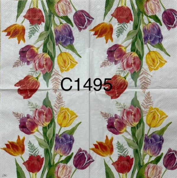 Flowers (C1495) - Tulips Multi Colors