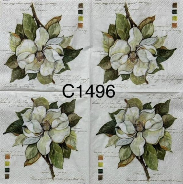 Flowers (C1496) - Magnolias