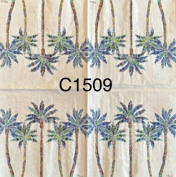 Plants (C1509) - Tahiti Palm Trees