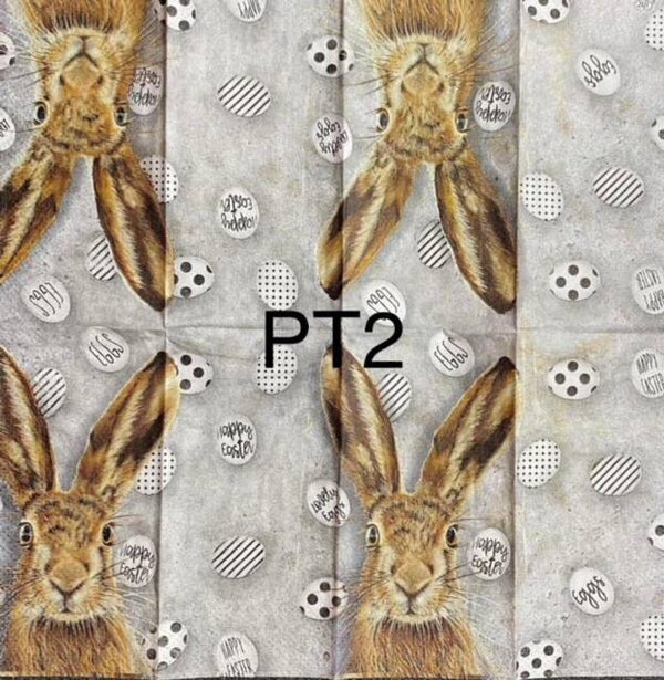 Easter (PT2) - Oh My Bunny