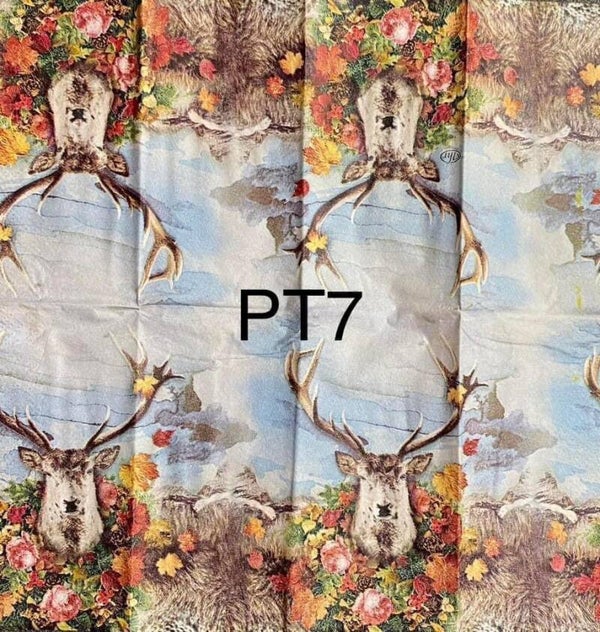 Deer (PT7) - Albert (Deer)