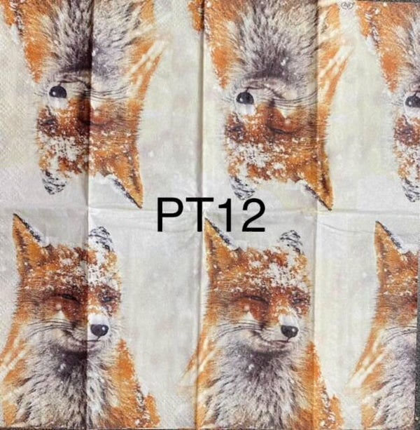Winter (PT12) - Winter Fox