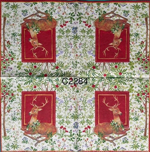 Christmas (C2284) - Reindeer with a Red Frame Behind Him and Plants all Around the Frame