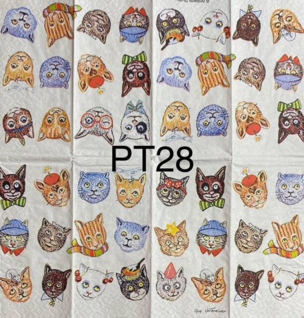 Cats (PT28/125) - Funny Cats