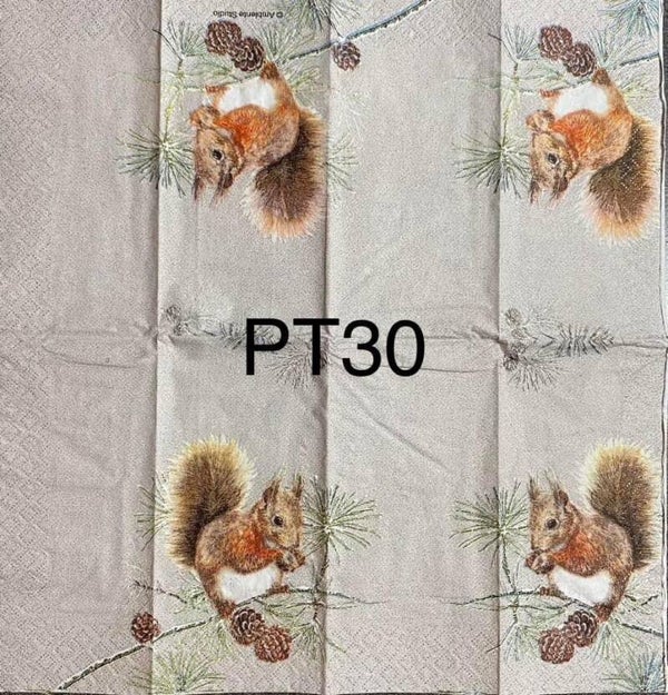 Winter (PT30) - Squirrel in Winter