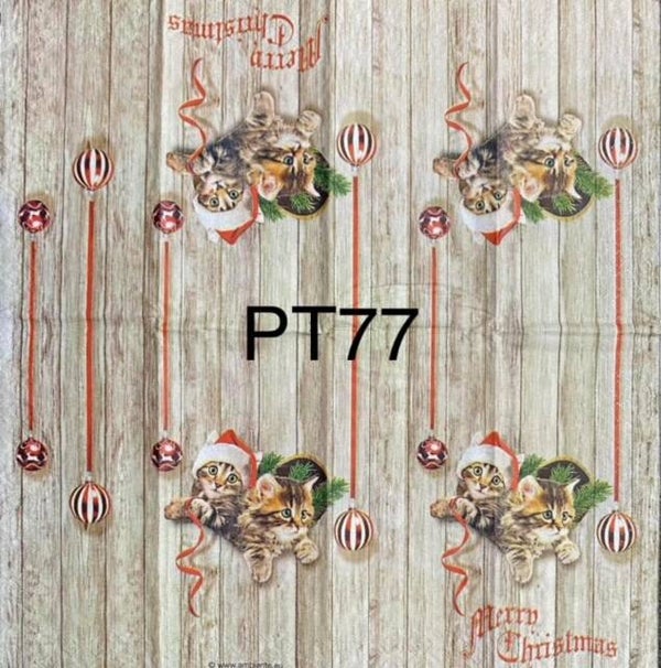 Christmas (PT77) - Curious Kittens