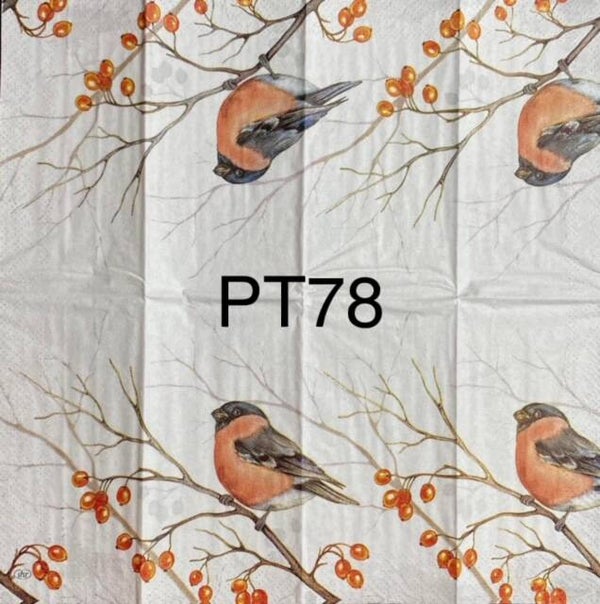 Winter (PT78) - Dreaming Winter Bird