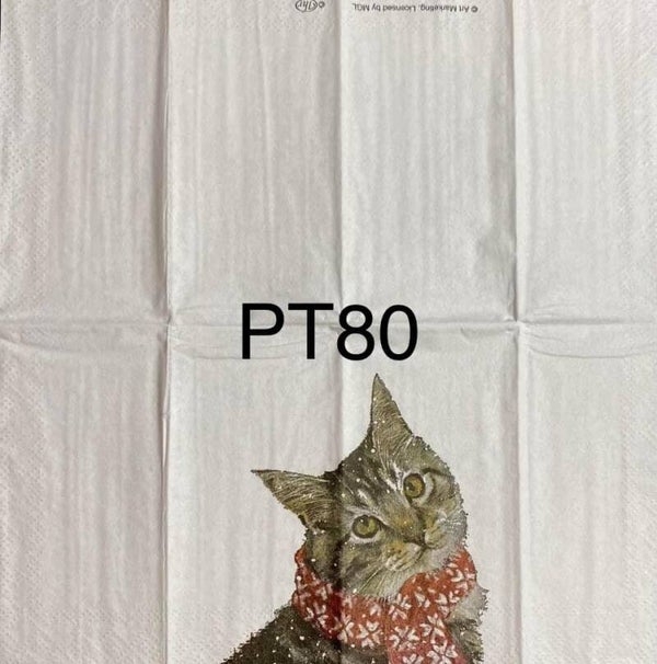 Cats (PT80) - Kitty with Scarf