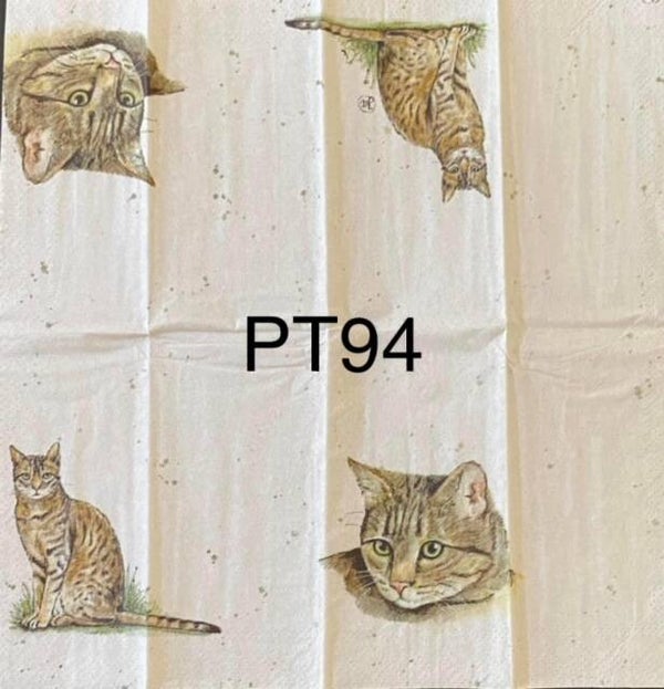 Cats (PT94) - Farm Friends Cat