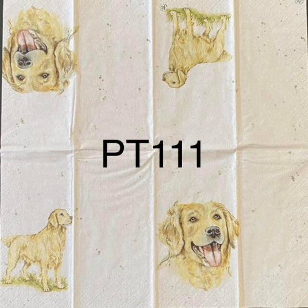 Dogs (PT111) - Farm Friend Dog