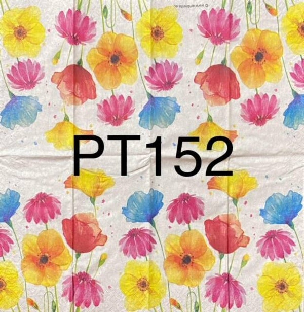 Flowers (PT152)  - Colorful Summer Flowers