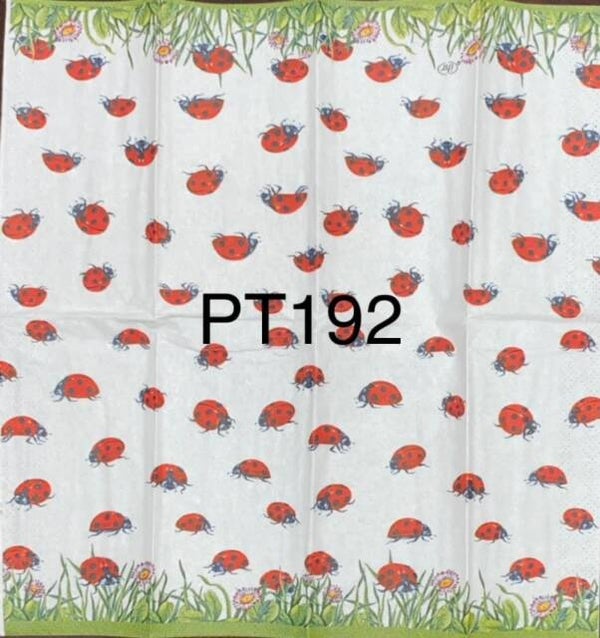 Anmals (PT192) - Hustle and Bustle Lady Bugs