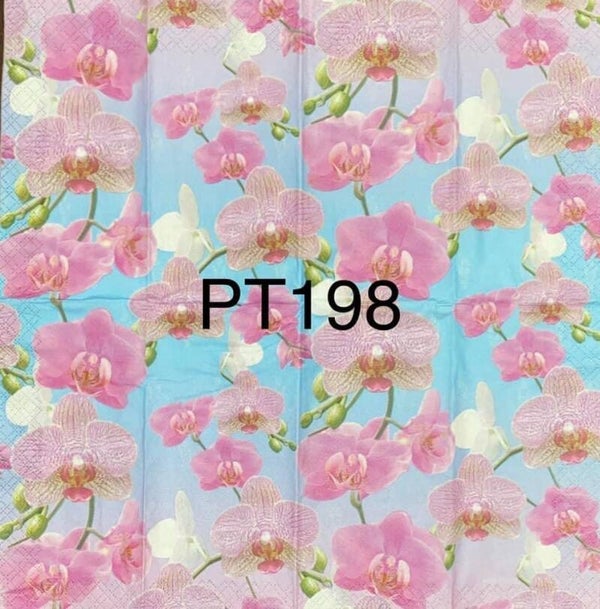 Flowers (PT198) - Orchids