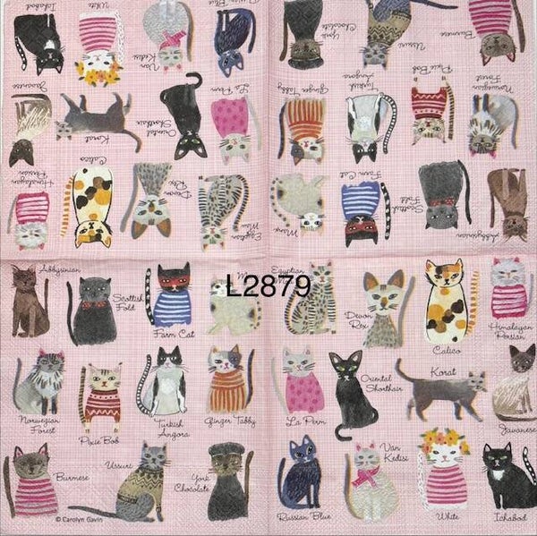 Cats (L2879) - Cat Species
