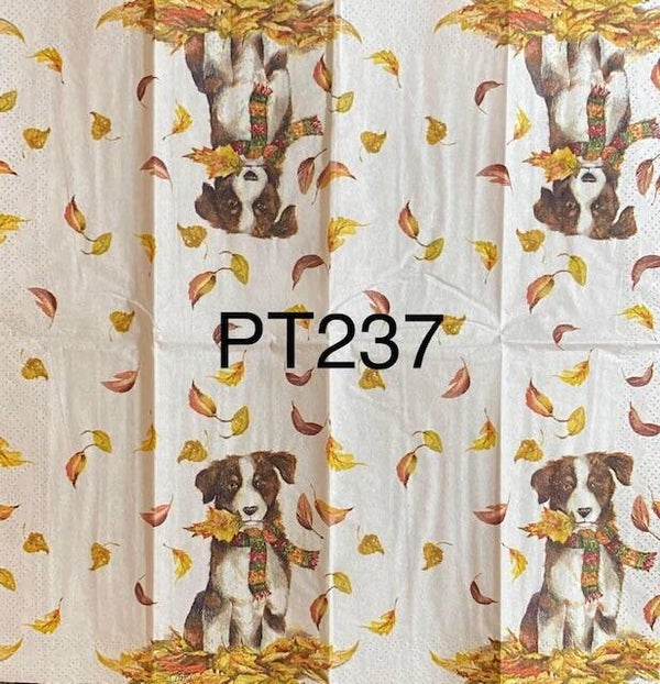 Dogs (PT237) - Dog Having Fun - Fall