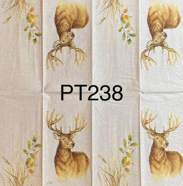 Deer (P238) - Hunted Deer